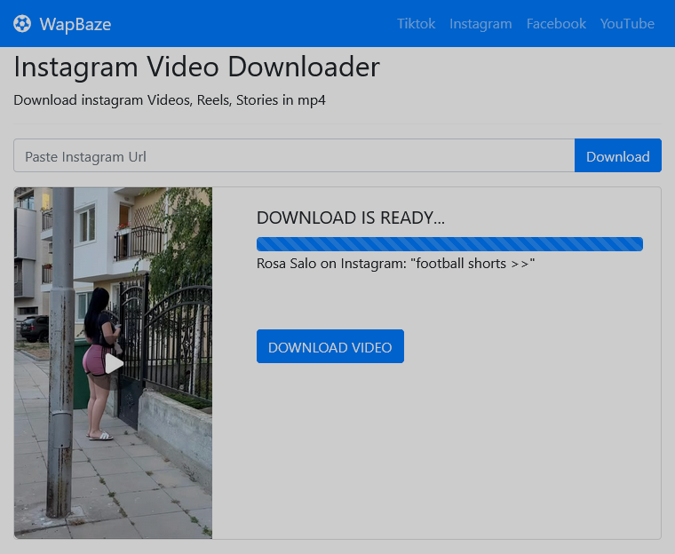 Instagram Video Downloader 